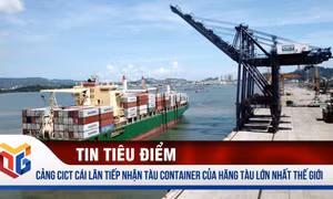 Cảng container quốc tế Cái Lân tiếp nhận tàu hàng quốc tế