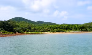 Khám phá vẻ đẹp Thắng Lợi và Ngọc Vừng