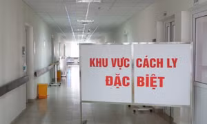 Sáng 10/9: Hơn 1.120 ca COVID-19 nặng đang thở máy và ECMO; TP HCM huy động 1.700 F0 khỏi tham gia chống dịch