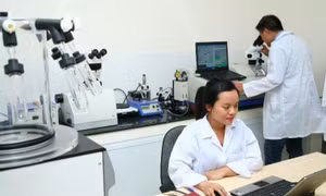 Bộ GD&ĐT công bố danh sách cơ sở, chương trình đào tạo đạt chuẩn chất lượng