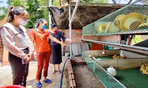 Ngăn chặn bạo lực trên cơ sở giới
