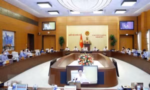 Chú trọng giám sát chất lượng công tác xây dựng, phê duyệt quy hoạch