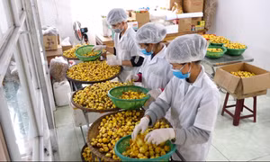Cơ hội để doanh nghiệp khẳng định chỗ đứng