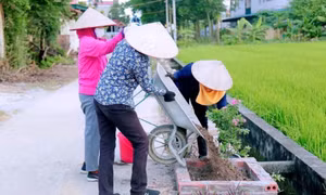 Sôi nổi các phong trào thi đua