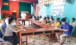 Tiên Yên: Xây dựng tổ chức cơ sở đảng vững mạnh