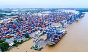 Bộ GTVT lập 2 tổ công tác kiểm tra cước vận tải, giá dịch vụ cảng biển