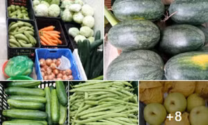 Bỏ lương 15 triệu ra làm riêng, suốt năm trời không ai tin tôi thành công
