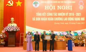 Hội Người cao tuổi tỉnh đón nhận Huân chương Lao động hạng Nhì