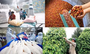 Đẩy mạnh xúc tiến xuất khẩu nông, lâm, thủy sản sau COVID-19