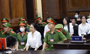 Bốn bị cáo trong vụ bà Nguyễn Phương Hằng xin giảm nhẹ hình phạt