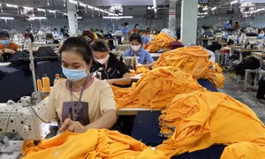 Doanh nghiệp FDI vẫn áp đảo khi xuất hàng sang EU