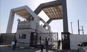Xung đột Israel - Hamas: Thêm 2 con tin người Israel được trả tự do