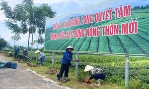 Nông dân sôi nổi thi đua