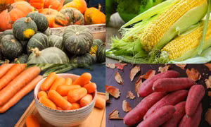 4 thực phẩm giàu vitamin A tốt cho tuổi thọ người cao tuổi