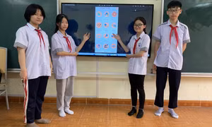 Sức sáng tạo của các mô hình, sản phẩm 