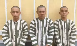 Bắt giữ ba thanh niên giam lỏng bé gái 12 tuổi