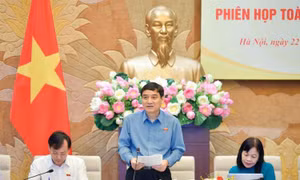 Ủy ban Văn hóa-Giáo dục của Quốc hội họp phiên toàn thể lần thứ 6