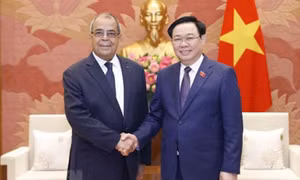 Chủ tịch Quốc hội: Đẩy mạnh quan hệ thương mại Việt Nam-Algeria