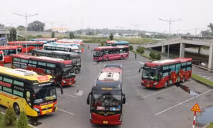 TPHCM tăng cường 100 xe khách đi Đà Lạt sau khi Thành Bưởi ngưng hoạt động
