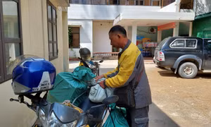 Người bưu tá cần mẫn
