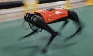 Chó robot vận chuyển đĩa ném tại Asiad 19
