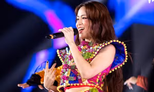Ở Việt Nam, ai cầm mic đi hát cũng là ca sĩ, nhưng ở Hàn Quốc thì không