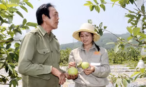 Chắp cánh cho sản phẩm OCOP