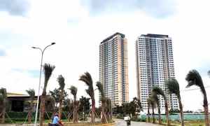 Cháu bé 6 tuổi ở TPHCM tử vong nghi ngộ độc sau khi ăn bánh su kem