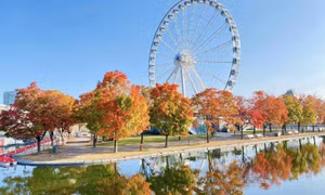 Chiêm ngưỡng bức tranh mùa Thu tại Montreal, Canada