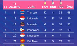 Thể thao Việt Nam bị các nước Đông Nam Á bỏ xa tại Asiad 19