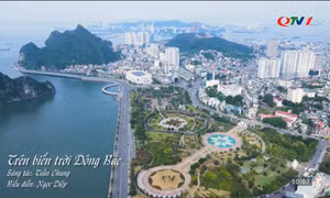 MV "Trên biển trời Đông Bắc"
