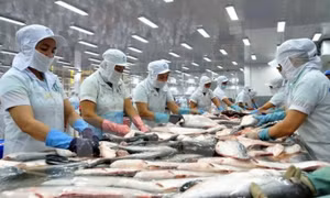 Chủ động ứng phó với phòng vệ thương mại