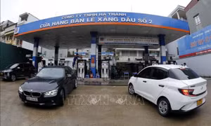 VPI dự báo giá xăng tăng, giá dầu giảm trong kỳ điều hành ngày 1/11