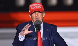Bầu cử Tổng thống Mỹ 2024: Ông Donald Trump giành ưu thế tại các bang quan trọng