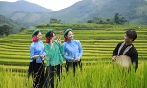 Về với “Mùa vàng miền Sóong Cọ” xã Đại Dực