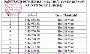Bộ Tư pháp nói về việc "xử" người trúng đấu giá biển số ô tô bỏ cọc