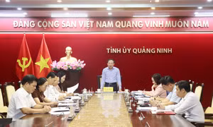 Thường trực Tỉnh ủy cho ý kiến về công tác chuẩn bị tổng kết Nghị quyết 11-NQ/TU