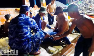 Ngạt khí độc trong hầm tàu, 1 ngư dân tử vong