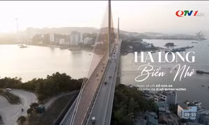 MV "Hạ Long biển nhớ"