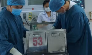 Thay máu toàn phần cứu trẻ sơ sinh 5 ngày tuổi