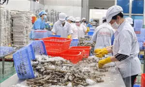Xuất khẩu nông, lâm, thủy sản sang Trung Quốc chiếm hơn 22%