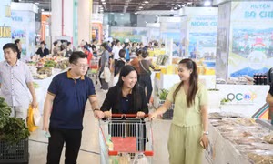 Hội chợ OCOP khu vực Đông Bắc - Quảng Ninh: Nhộn nhịp người dân, du khách tham quan, mua sắm