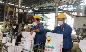 Giá phân bón trong nước giảm nhẹ nhờ nguồn cung ổn định