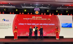 AES Mông Dương được vinh danh là đơn vị nộp thuế tiêu biểu toàn quốc