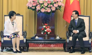 Việt Nam - Nhật Bản có nhiều điểm chung và dư địa để phát triển quan hệ hợp tác hữu nghị