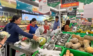 Kích cầu tiêu dùng nội địa: Giải pháp quan trọng thúc đẩy tăng trưởng GDP