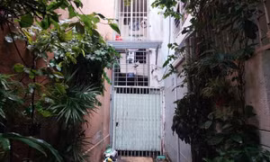 Khởi tố nữ sinh viên sát hại con gái mới sinh