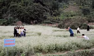 Thúc đẩy tăng trưởng du lịch từ tổ chức sự kiện, lễ hội độc đáo