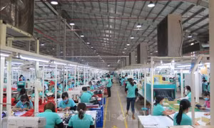 Niềm tin kinh doanh của doanh nghiệp châu Âu tại Việt Nam tăng trở lại