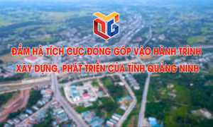 Đầm Hà tích cực đóng góp vào hành trình xây dựng, phát triển của tỉnh Quảng Ninh